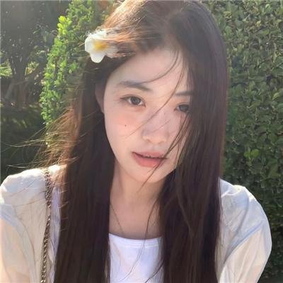 情来.算尽爱
